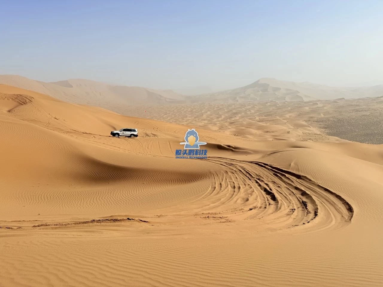 יוצאים אל לב המדבר