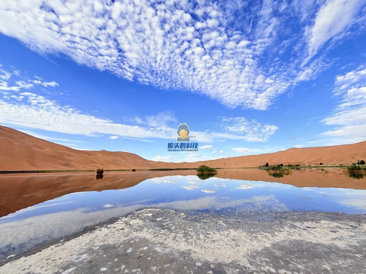 יוצאים אל לב המדבר