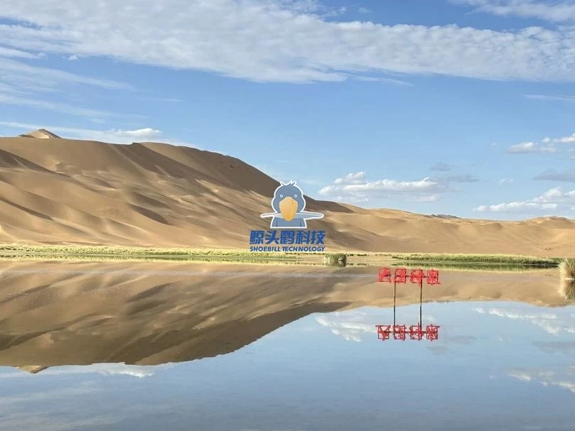 יוצאים אל לב המדבר