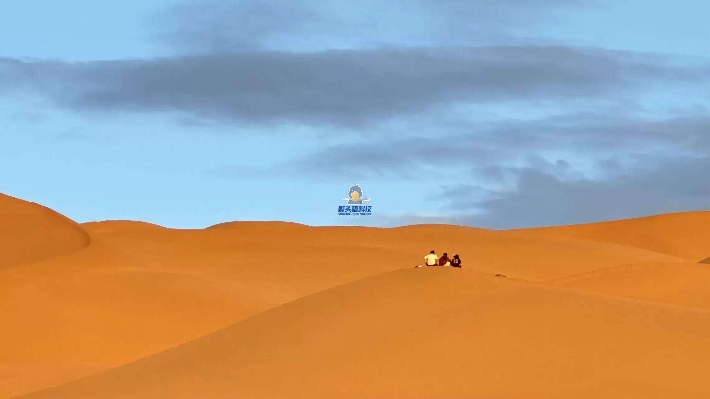 יוצאים אל לב המדבר