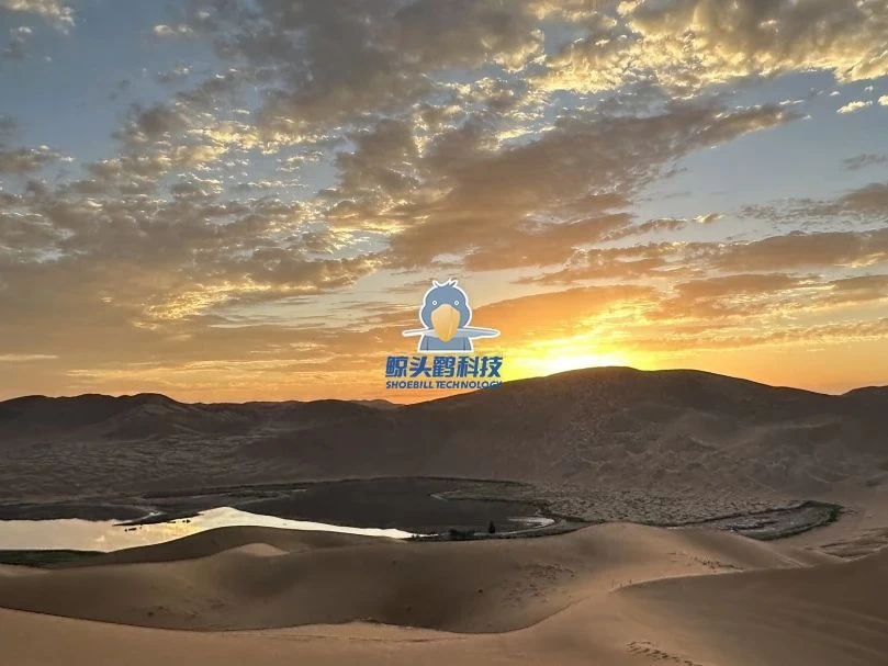 יוצאים אל לב המדבר